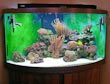 salt water fish tank